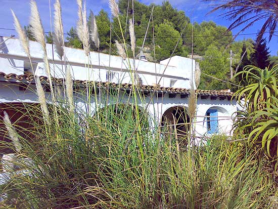 Finca Pedramala