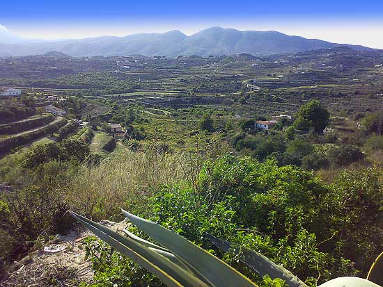 Finca Pedramala