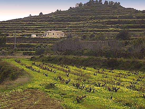 Ruime, nieuw gebouwde finca met panoramisch uitzicht in Teulada!