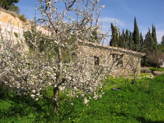 Schitterende 300 jaar oude finca in Moraira - Teulada