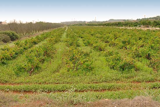 HET huis voor wie een eigen wijnboerderij wil beginnen