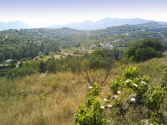 Ongerestaureerde finca in Benissa op ruim 8000 m2 eigen grond