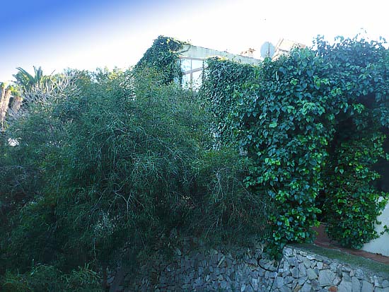Uniek object! ruim 500 m2 woning, 20.000 m2 tuin, twee zwembaden!