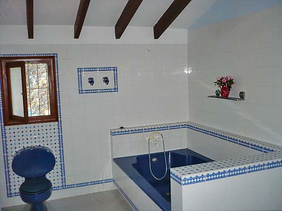 Uniek object! ruim 500 m2 woning, 20.000 m2 tuin, twee zwembaden!