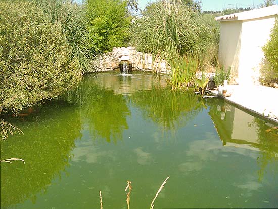 Heerlijke finca met paardenstallen op 2100 m2 grond, 10 kilometer van Denia en de zandstranden.