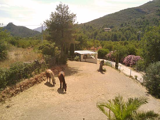 Heerlijke finca met paardenstallen op 2100 m2 grond, 10 kilometer van Denia en de zandstranden.