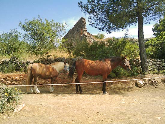 Heerlijke finca met paardenstallen op 2100 m2 grond, 10 kilometer van Denia en de zandstranden.
