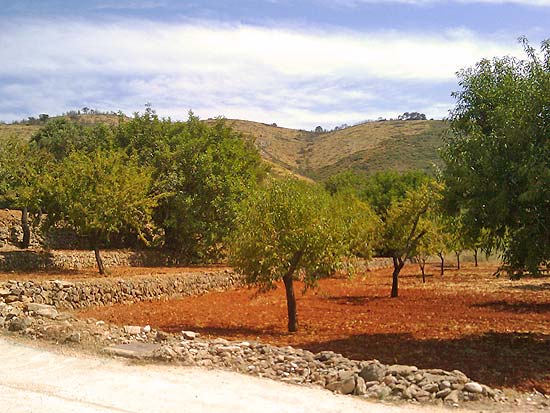 Heerlijke finca met paardenstallen op 2100 m2 grond, 10 kilometer van Denia en de zandstranden.