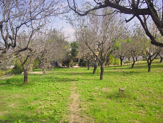 Wie deze finca koopt, heeft niets meer te wensen. Wat een huis, wat een locatie en wat een fraai grondstuk. Zien is kopen!!!