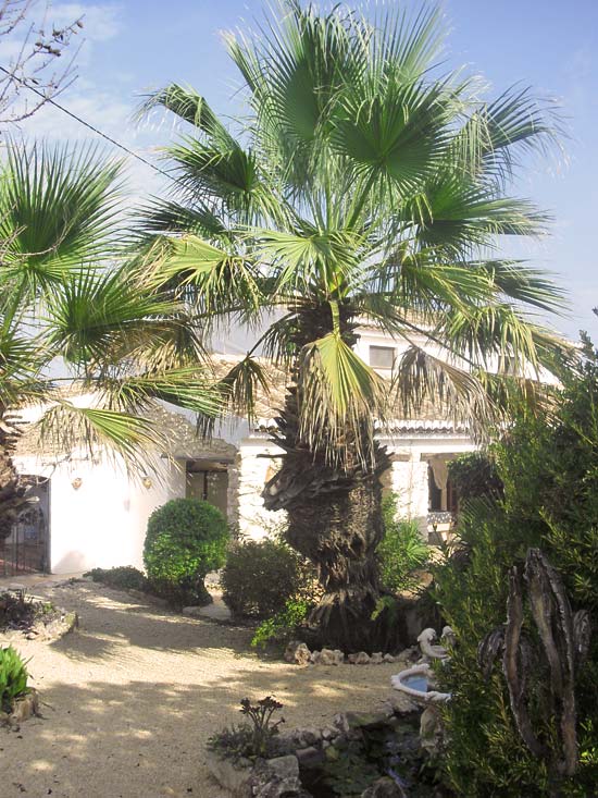 Wie deze finca koopt, heeft niets meer te wensen. Wat een huis, wat een locatie en wat een fraai grondstuk. Zien is kopen!!!