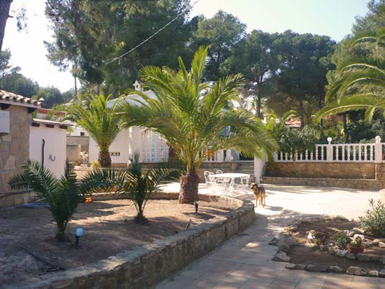 Zeer charmante finca op loopafstand van strand en dorp. Wie biedt?