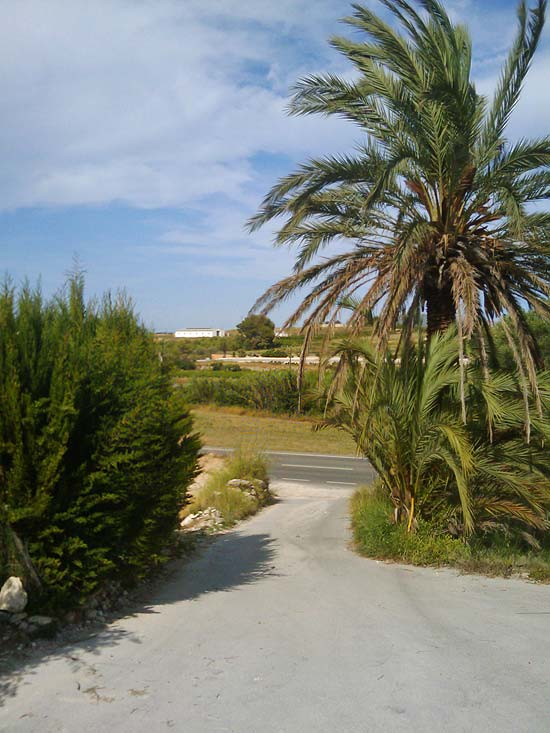 Rustieke finca in teulada