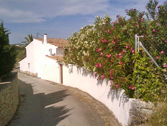 Rustieke finca in teulada