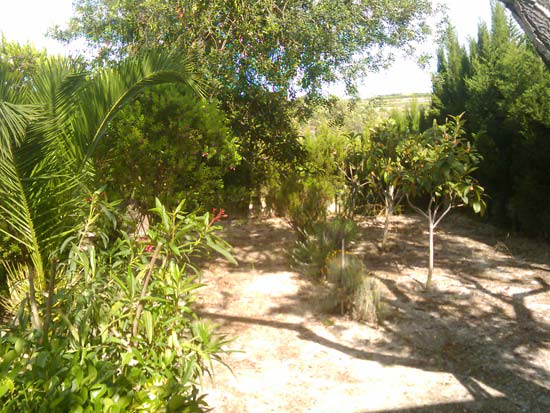 Rustieke finca in teulada