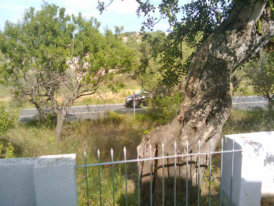 Rustieke finca in teulada