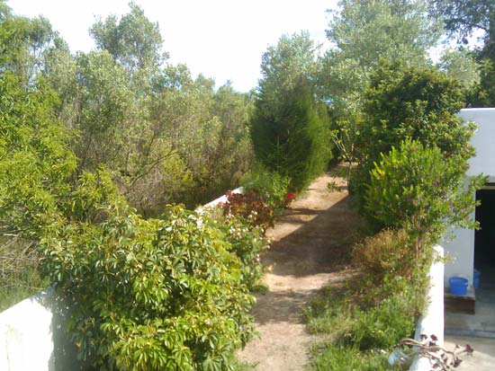 Rustieke finca in teulada