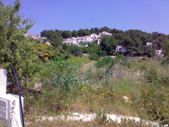 Unieke originele finca in Moraira. Geheel te renoveren. Dit komt nooit meer!!!