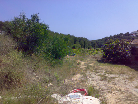 Unieke originele finca in Moraira. Geheel te renoveren. Dit komt nooit meer!!!