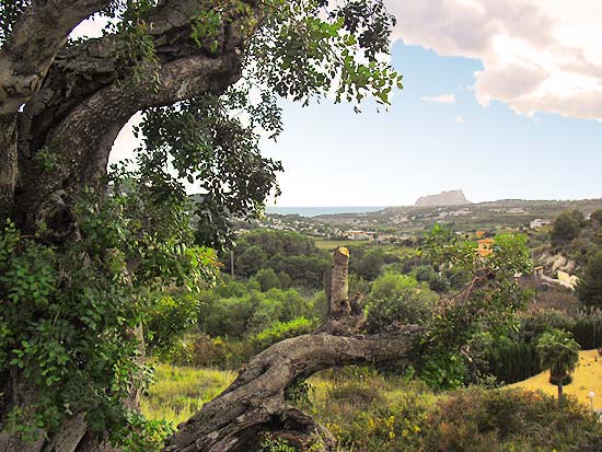 Deze finca staat op ruim 3000 m2 grond en kijkt uit over Moraira en de zee