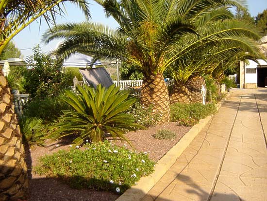 Super gezellige finca met twee gescheiden appartementen in Gata. Alle papieren aanwezig!