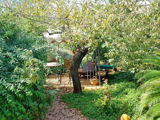 Super gezellige finca met twee gescheiden appartementen in Gata. Alle papieren aanwezig!