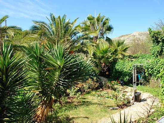 Super gezellige finca met twee gescheiden appartementen in Gata. Alle papieren aanwezig!