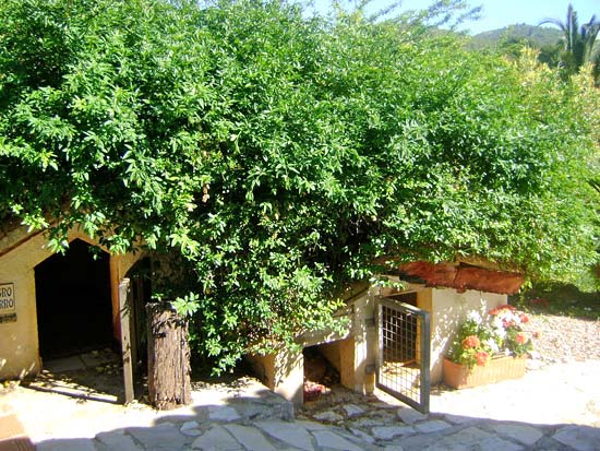 Super gezellige finca met twee gescheiden appartementen in Gata. Alle papieren aanwezig!