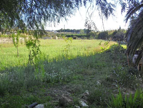 Wie de rust van de campo zoekt, maar op loopafstand van een dorp wil wonen, moet deze romantische 4-slaapkamer finca zeker bekijken. Het gebouw van 335 m2 is onlangs gerenoveerd met behoud van alle originele stijlkenmerken. De vlakke tuin beslaat ruim 10.000 m2. Dit is een absolute droomfinca. Een buitenkans!