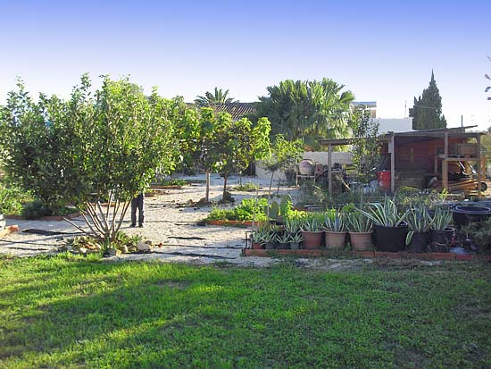 Wie de rust van de campo zoekt, maar op loopafstand van een dorp wil wonen, moet deze romantische 4-slaapkamer finca zeker bekijken. Het gebouw van 335 m2 is onlangs gerenoveerd met behoud van alle originele stijlkenmerken. De vlakke tuin beslaat ruim 10.000 m2. Dit is een absolute droomfinca. Een buitenkans!