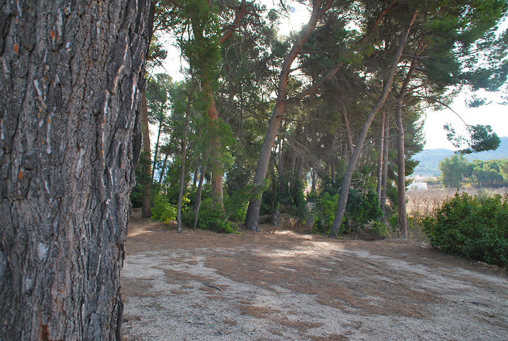 Te koop: een 19de eeuws kasteel voor 650.000 euro!