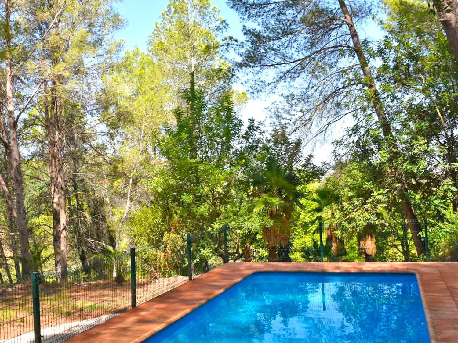 sprookjes-finca met 40.000 m² eigen grond te koop