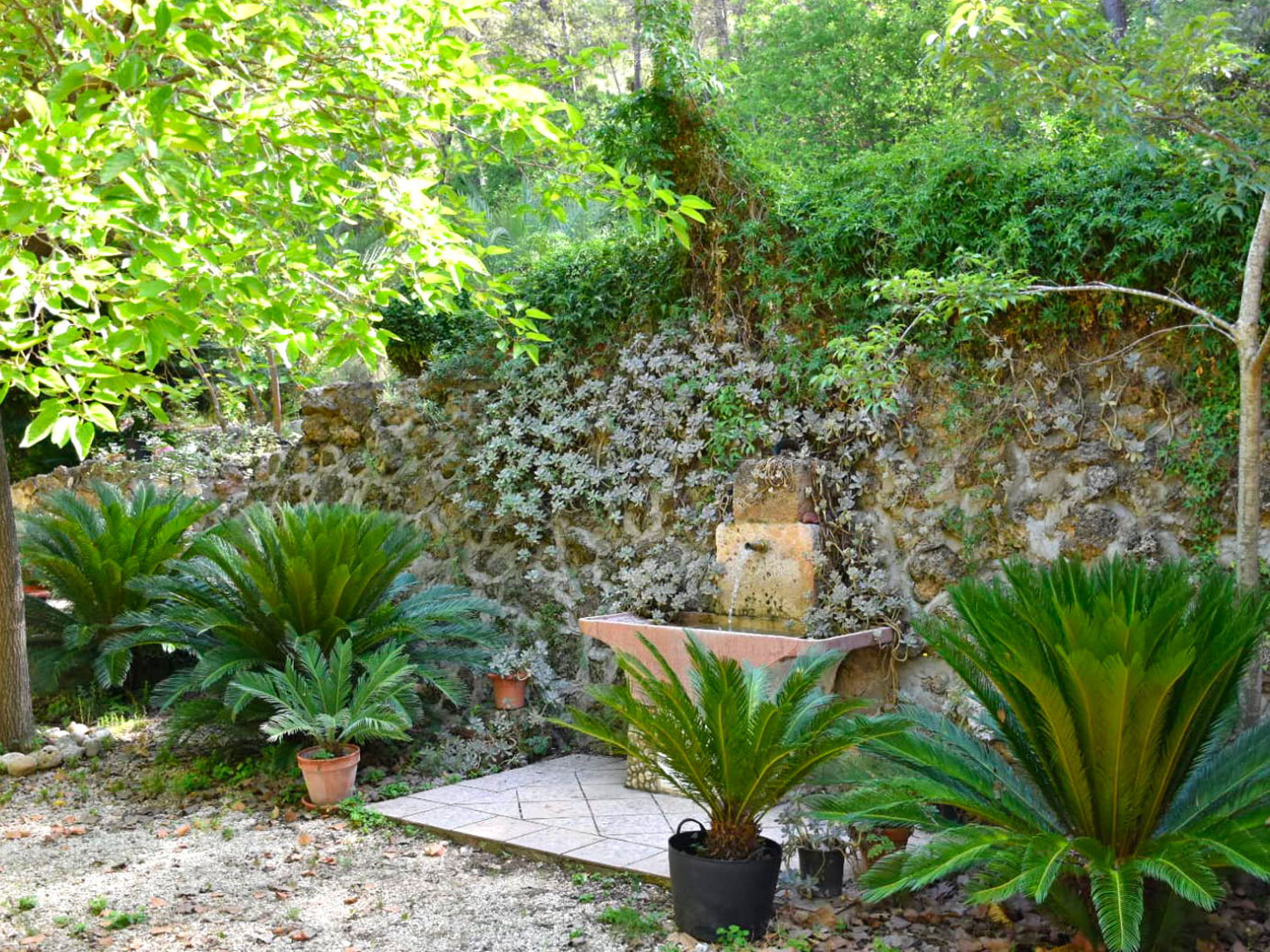 sprookjes-finca met 40.000 m² eigen grond te koop