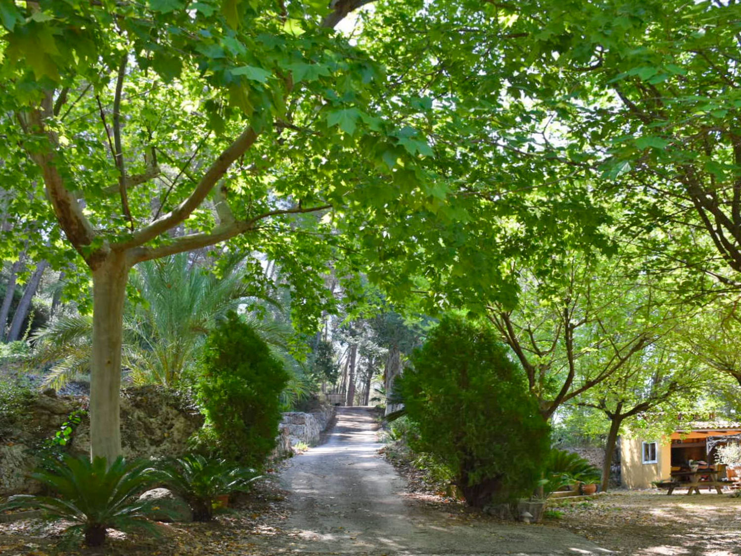 sprookjes-finca met 40.000 m² eigen grond te koop