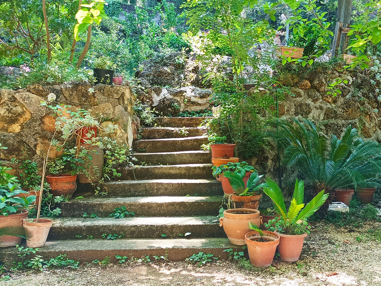 sprookjes-finca met 40.000 m² eigen grond te koop