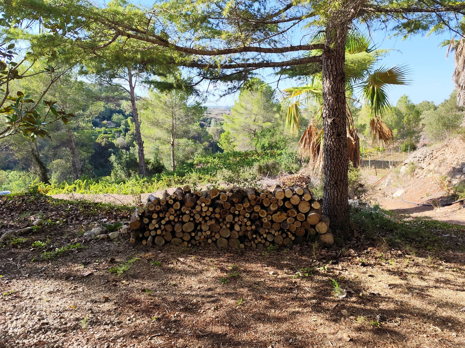 sprookjes-finca met 40.000 m² eigen grond te koop