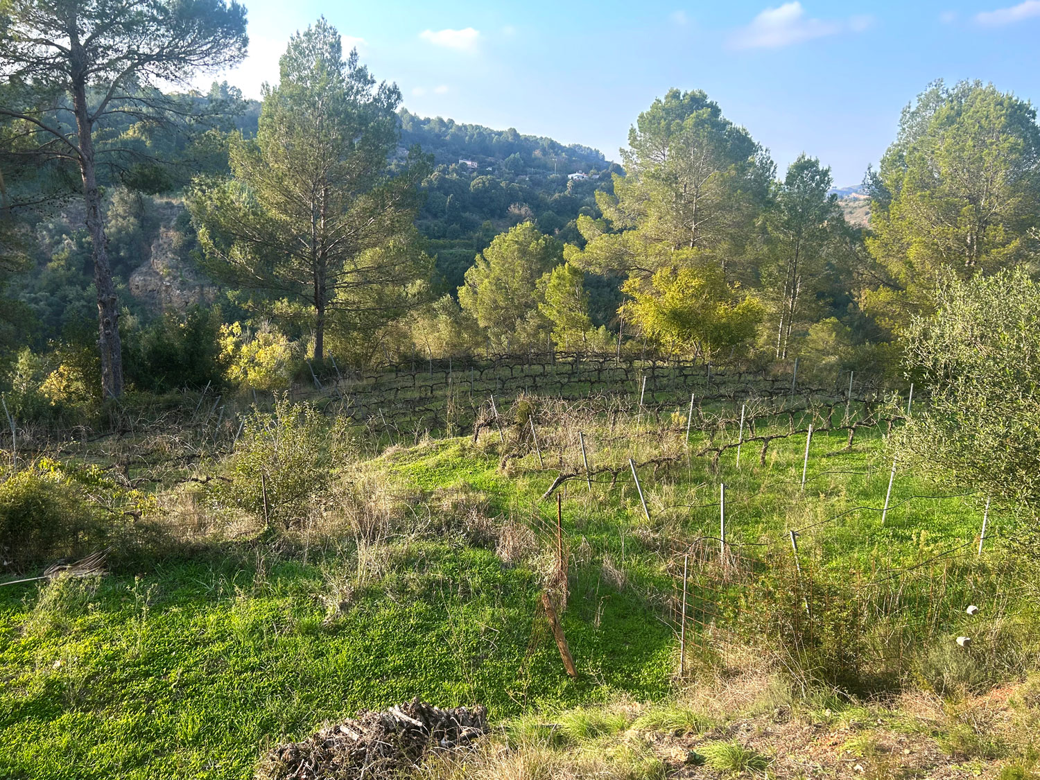 sprookjes-finca met 40.000 m² eigen grond te koop