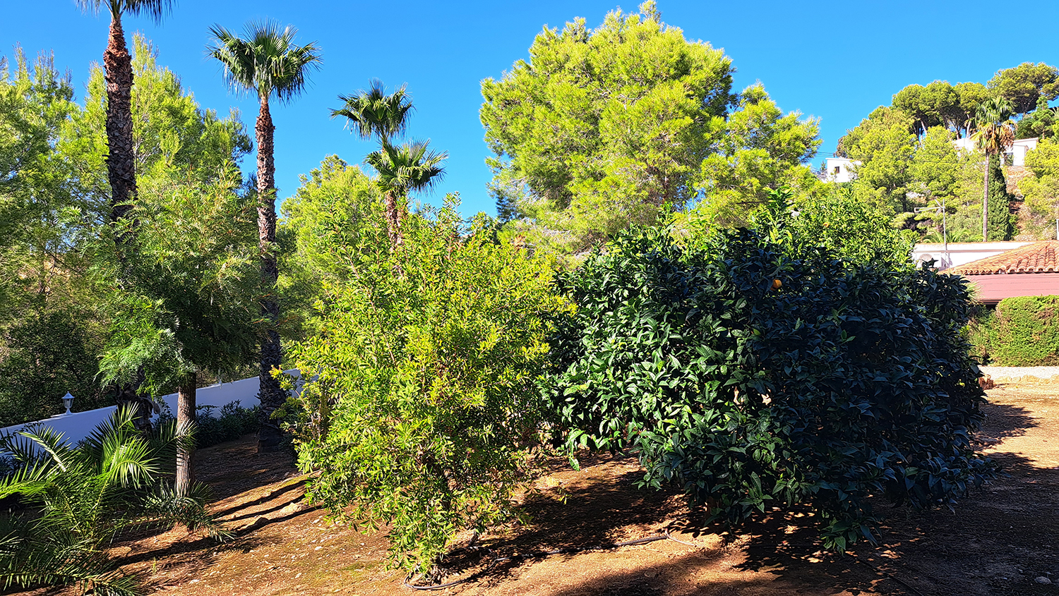 Schitterende zelfvoorzienende villa in Denia