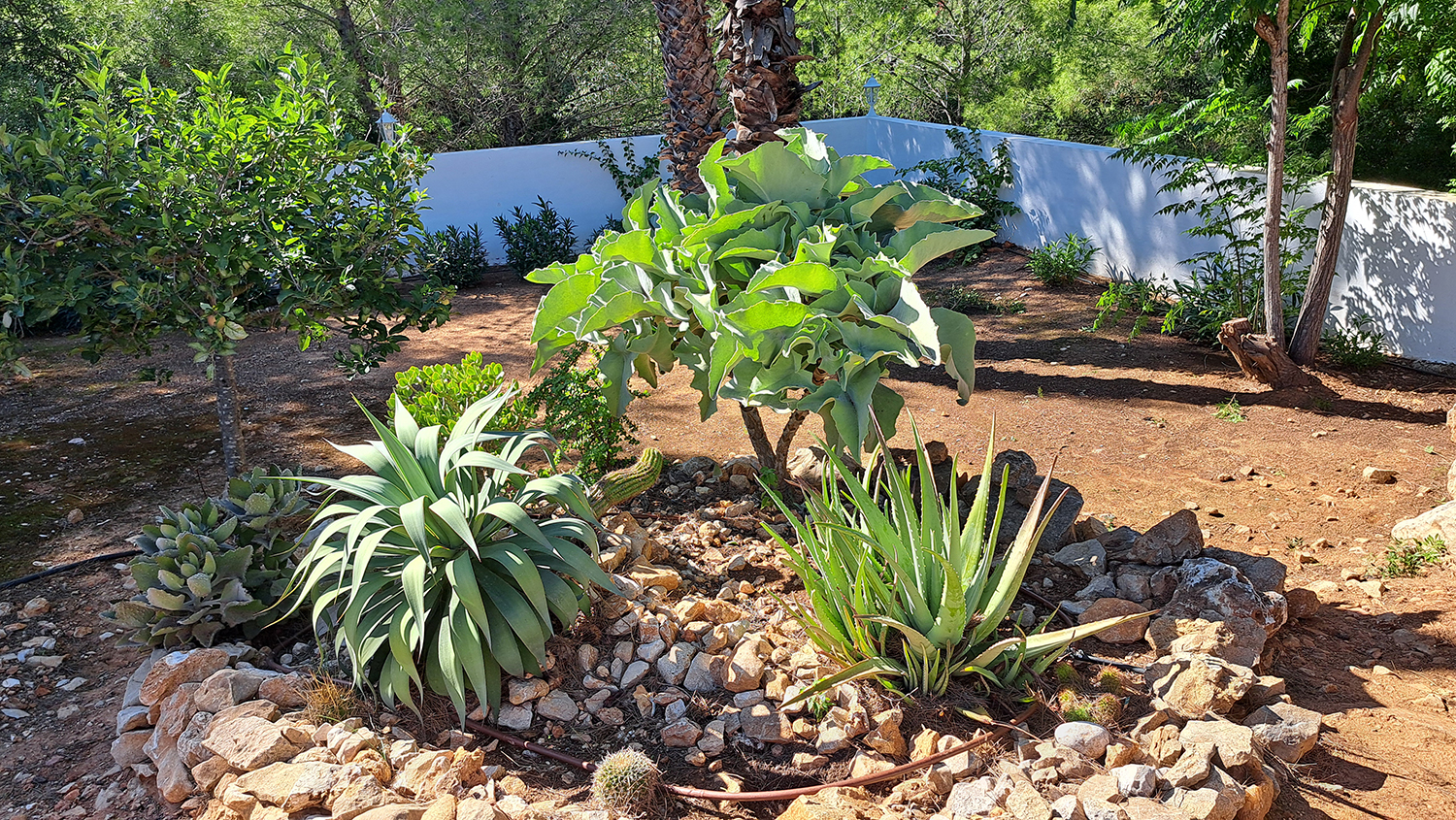 Schitterende zelfvoorzienende villa in Denia