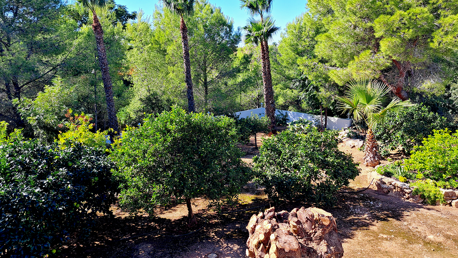 Schitterende zelfvoorzienende villa in Denia