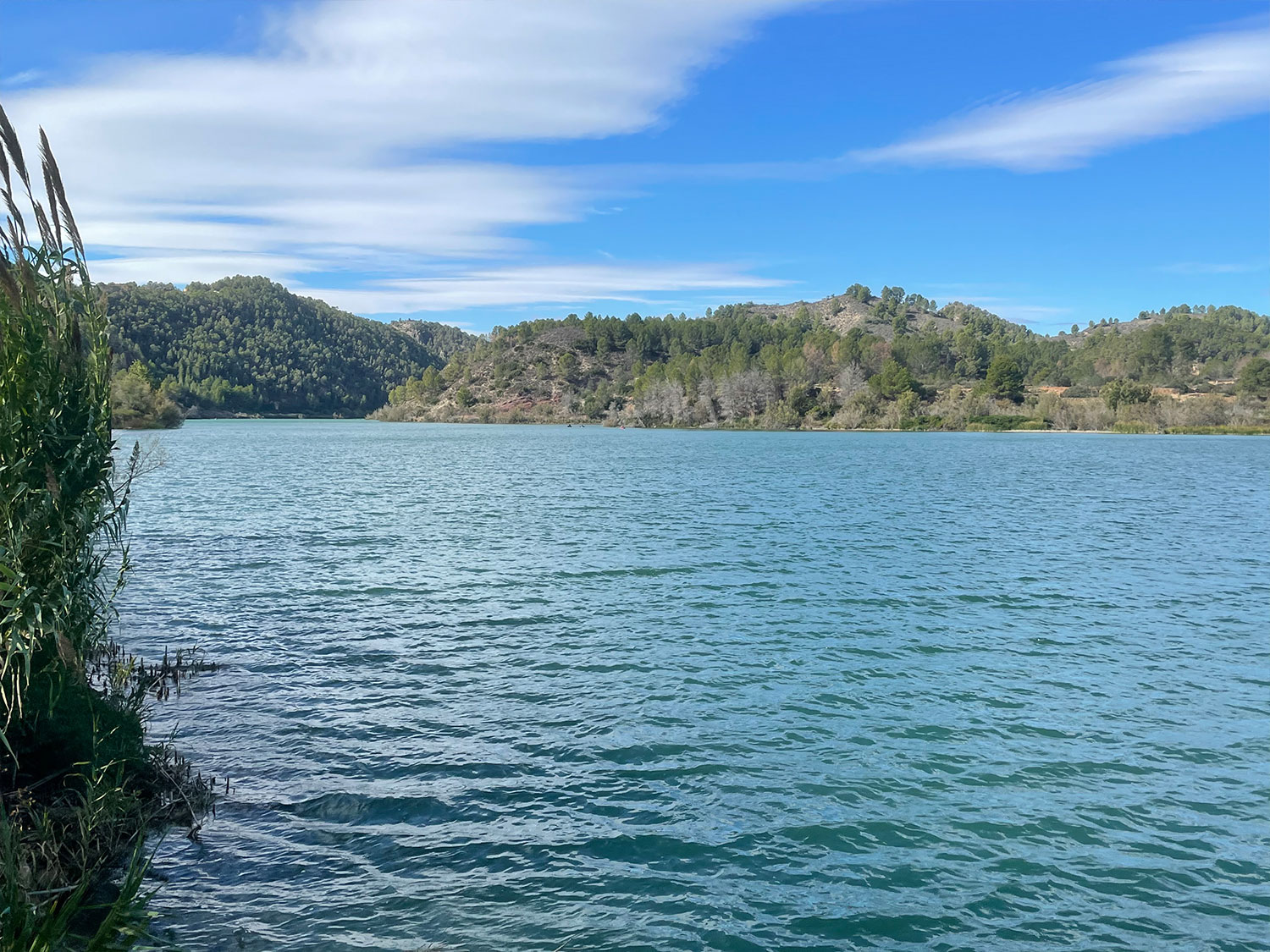 Bouwgrond 10.000 m2 in Chella Xativa te koop voor 55.000 euro