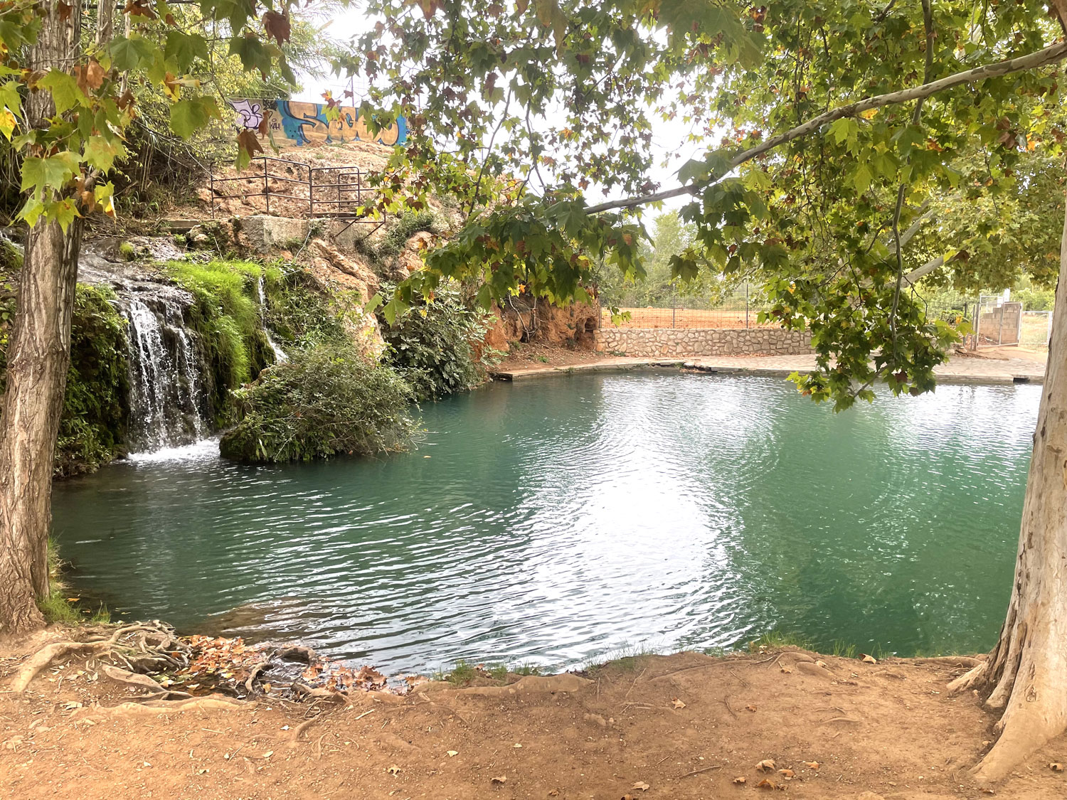 Bouwgrond 10.000 m2 in Chella Xativa te koop voor 55.000 euro