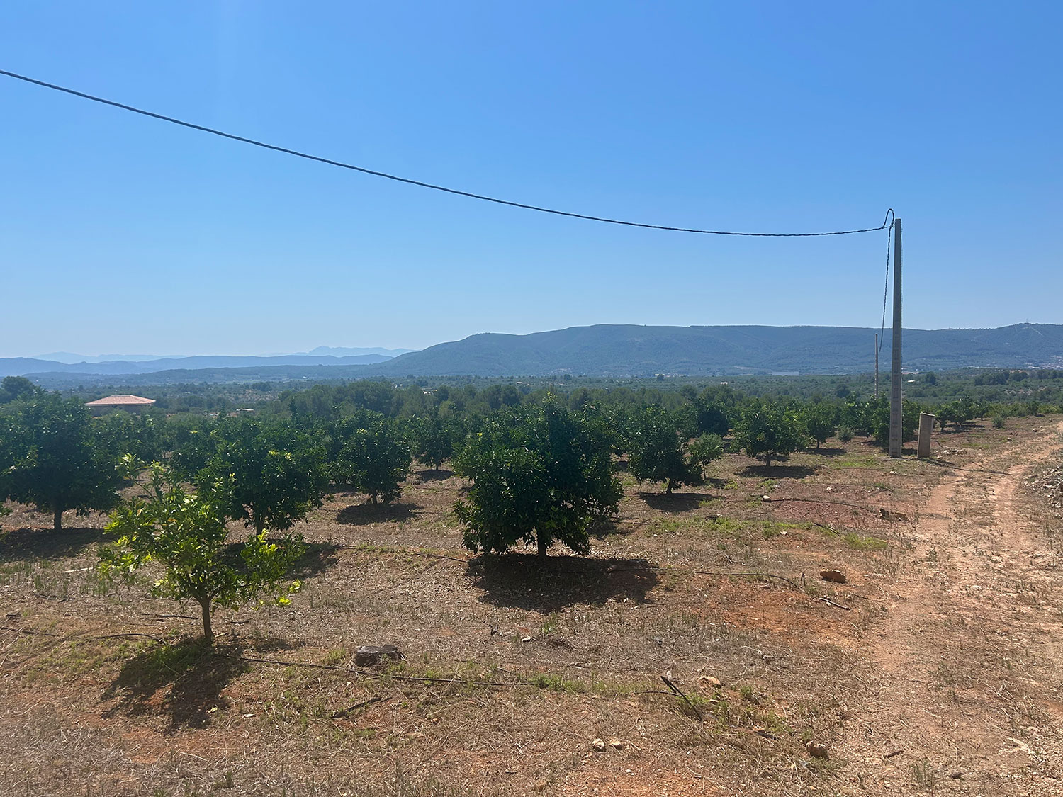 Bouwgrond 10.000 m2 in Chella Xativa te koop voor 55.000 euro