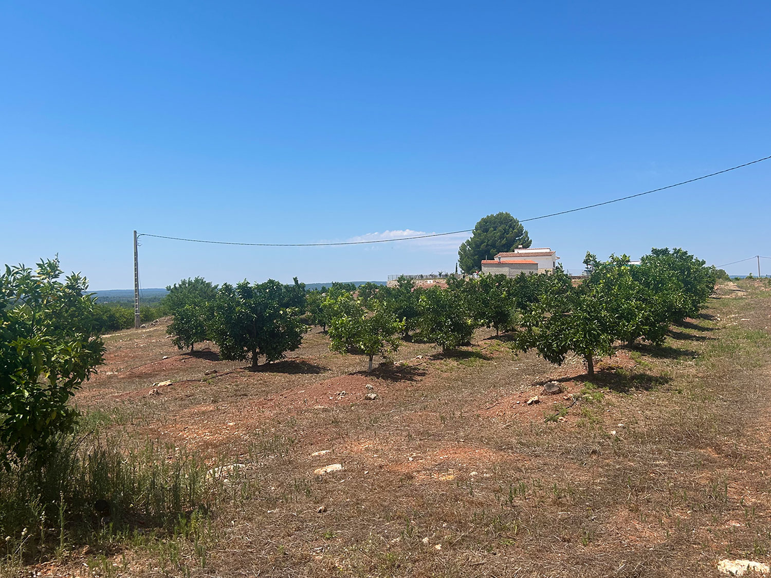 Bouwgrond 10.000 m2 in Chella Xativa te koop voor 55.000 euro