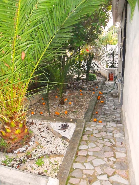 Een super romantische vrijstaande villa voor de prijs van een schakelbungalow op een paar minuten lopen van het strand