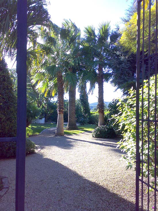 Zeer fraaie finca. Ideaal voor luxe Bed & Breakfast