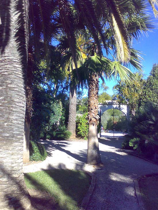 Zeer fraaie finca. Ideaal voor luxe Bed & Breakfast