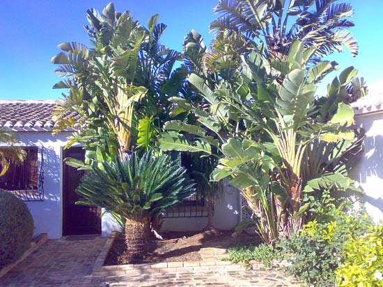 Zeer fraaie finca. Ideaal voor luxe Bed & Breakfast