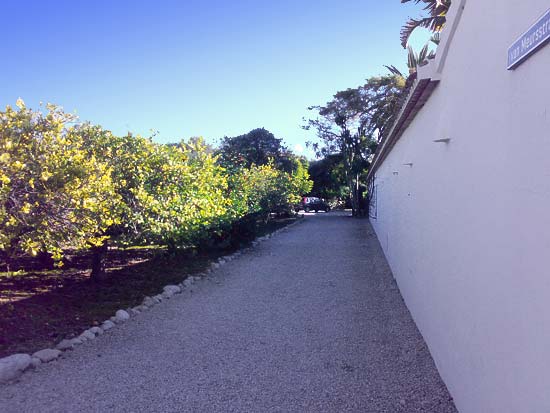 Zeer fraaie finca. Ideaal voor luxe Bed & Breakfast
