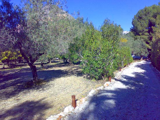 Zeer fraaie finca. Ideaal voor luxe Bed & Breakfast