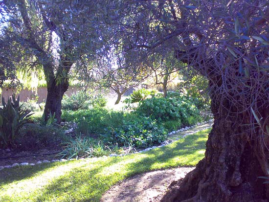 Zeer fraaie finca. Ideaal voor luxe Bed & Breakfast